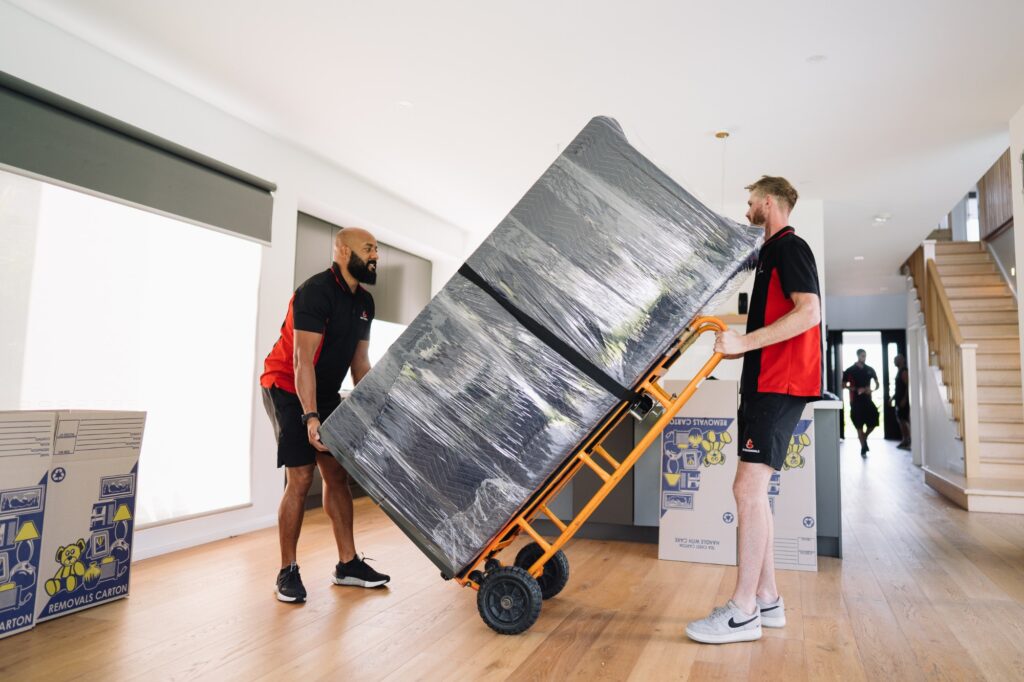 Red Fox Removalists