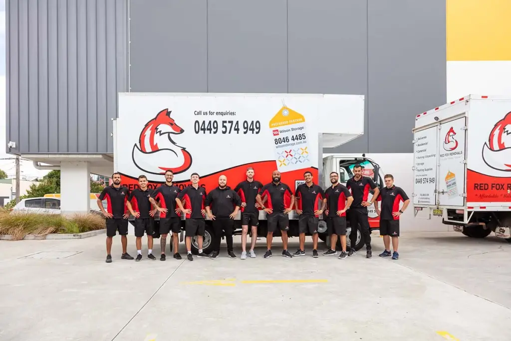 Red Fox Removalists